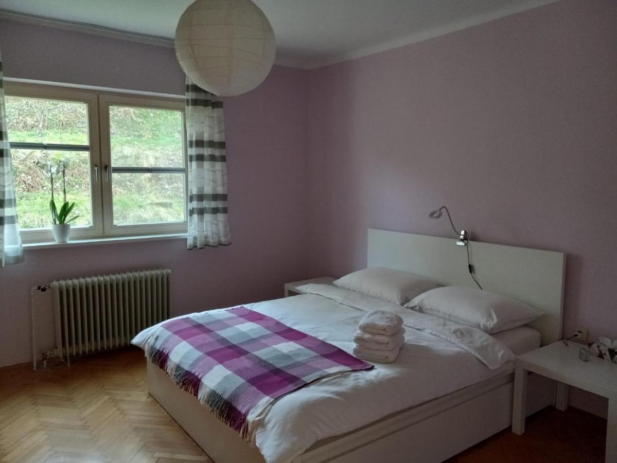 Lovely 2-Bedroom Appartment With Free Parking Dobrova Εξωτερικό φωτογραφία